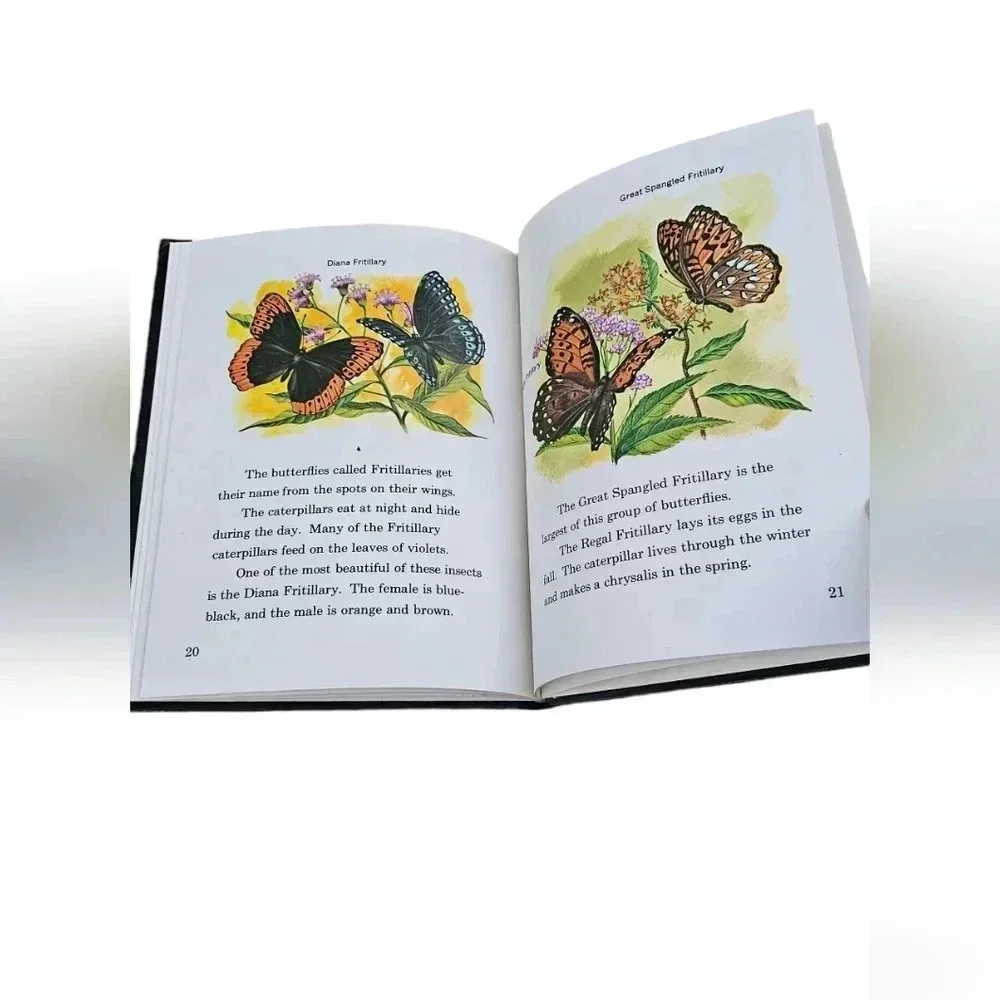 Sweet Little Vintage Book of Butterflies- Published in 1961​​​​​ - Picture 4 of 6